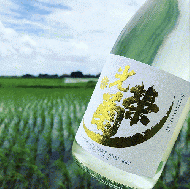 光栄菊　Sunburst サンバースト　無濾過生原酒　720ml