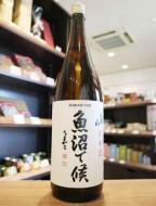 【飲食店様限定】八海山　純米酒　魚沼で候　1800ml