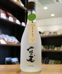 一粒の麦　furingo(ふうりんご)　麦焼酎　25度　720ml