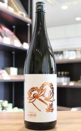 いづみ橋 秋とんぼ 山田錦 きもと純米酒 1800ml(白) | 日本酒・地酒