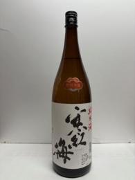 寒紅梅　純米酒　朝日　早咲　生酒　720ml